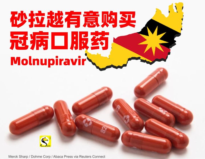 砂拉越有意购买冠病口服药Molnupiravir