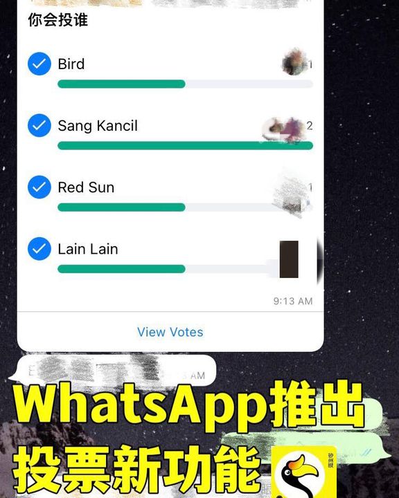 Whatsapp推出投票新功能